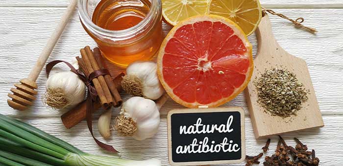 natural antibiotics recommended by La Verne chiropractor